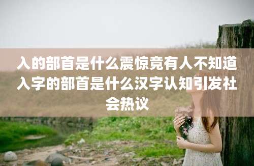 入的部首是什么震惊竟有人不知道入字的部首是什么汉字认知引发社会热议