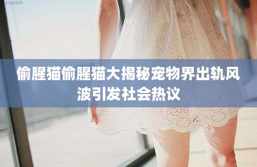 偷腥猫偷腥猫大揭秘宠物界出轨风波引发社会热议