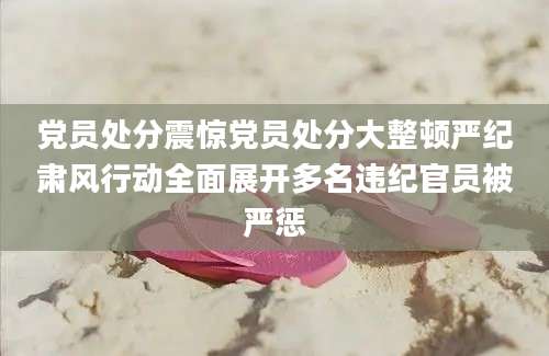 党员处分震惊党员处分大整顿严纪肃风行动全面展开多名违纪官员被严惩