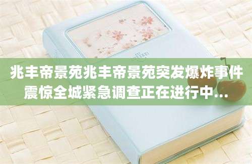 兆丰帝景苑兆丰帝景苑突发爆炸事件震惊全城紧急调查正在进行中...