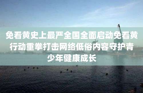 免看黄史上最严全国全面启动免看黄行动重拳打击网络低俗内容守护青少年健康成长