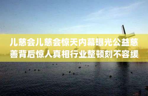 儿慈会儿慈会惊天内幕曝光公益慈善背后惊人真相行业整顿刻不容缓