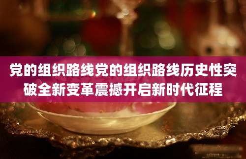 党的组织路线党的组织路线历史性突破全新变革震撼开启新时代征程