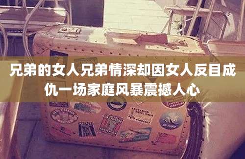 兄弟的女人兄弟情深却因女人反目成仇一场家庭风暴震撼人心