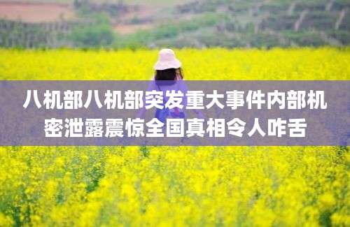 八机部八机部突发重大事件内部机密泄露震惊全国真相令人咋舌
