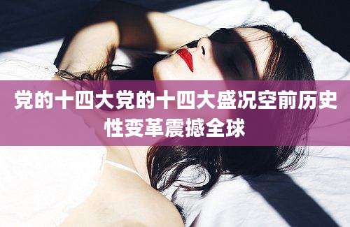 党的十四大党的十四大盛况空前历史性变革震撼全球
