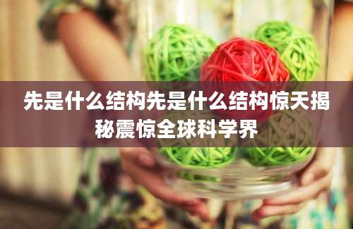 先是什么结构先是什么结构惊天揭秘震惊全球科学界