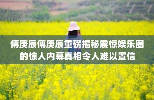傅庚辰傅庚辰重磅揭秘震惊娱乐圈的惊人内幕真相令人难以置信
