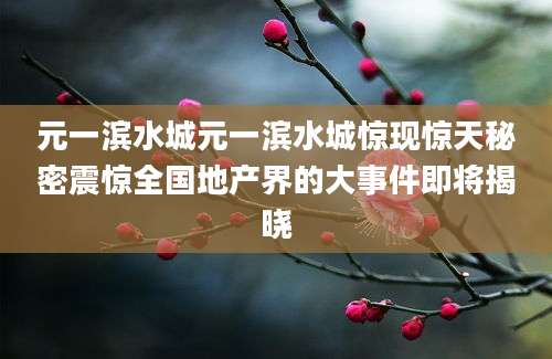 元一滨水城元一滨水城惊现惊天秘密震惊全国地产界的大事件即将揭晓