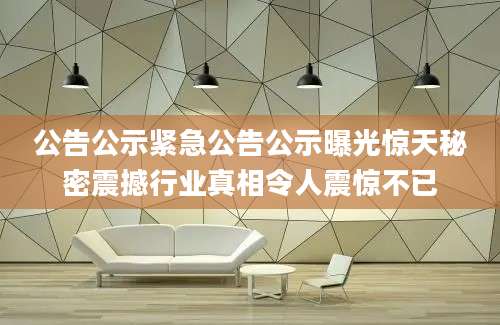 公告公示紧急公告公示曝光惊天秘密震撼行业真相令人震惊不已