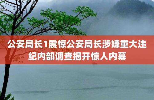 公安局长1震惊公安局长涉嫌重大违纪内部调查揭开惊人内幕