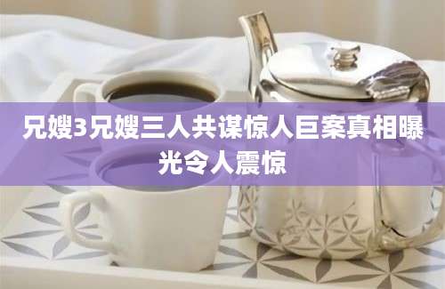 兄嫂3兄嫂三人共谋惊人巨案真相曝光令人震惊