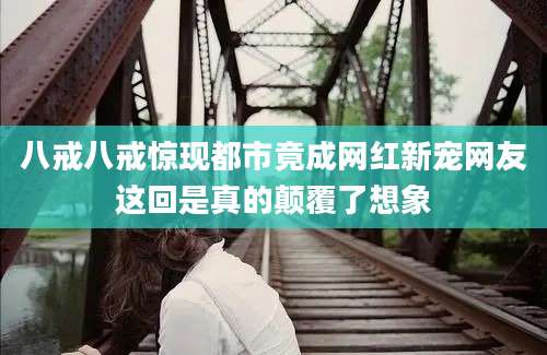 八戒八戒惊现都市竟成网红新宠网友这回是真的颠覆了想象
