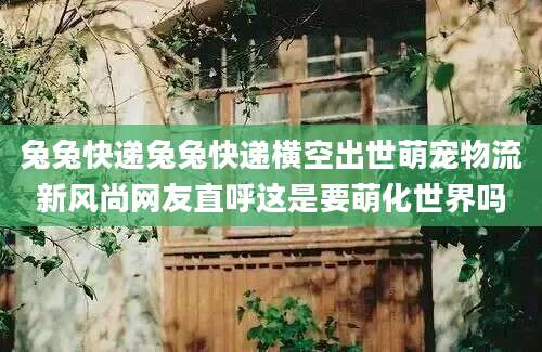 兔兔快递兔兔快递横空出世萌宠物流新风尚网友直呼这是要萌化世界吗