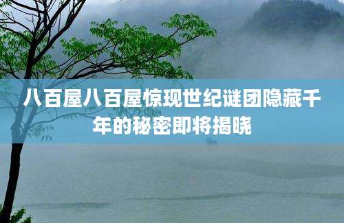 八百屋八百屋惊现世纪谜团隐藏千年的秘密即将揭晓