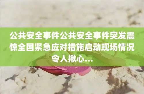 公共安全事件公共安全事件突发震惊全国紧急应对措施启动现场情况令人揪心...
