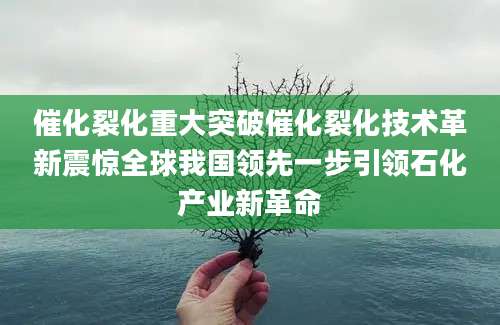 催化裂化重大突破催化裂化技术革新震惊全球我国领先一步引领石化产业新革命