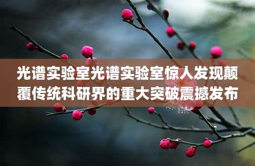 光谱实验室光谱实验室惊人发现颠覆传统科研界的重大突破震撼发布
