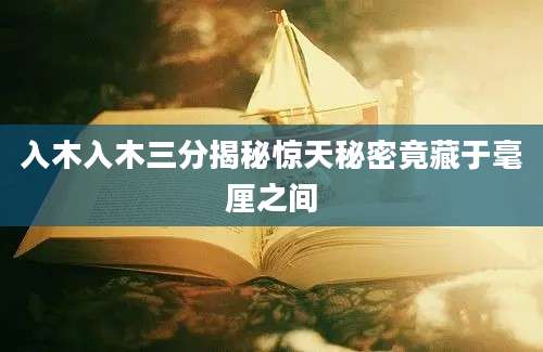 入木入木三分揭秘惊天秘密竟藏于毫厘之间