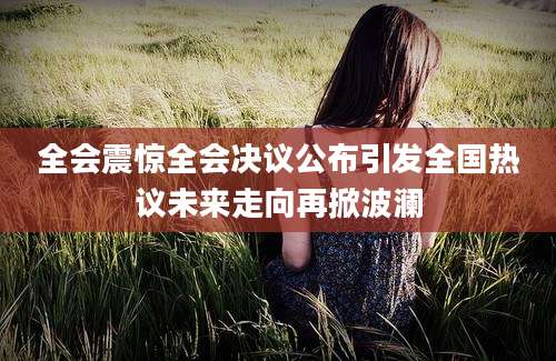 全会震惊全会决议公布引发全国热议未来走向再掀波澜