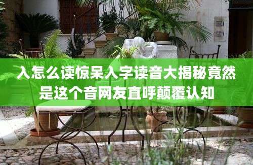 入怎么读惊呆入字读音大揭秘竟然是这个音网友直呼颠覆认知