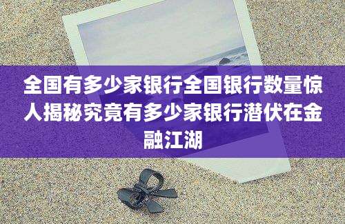 全国有多少家银行全国银行数量惊人揭秘究竟有多少家银行潜伏在金融江湖