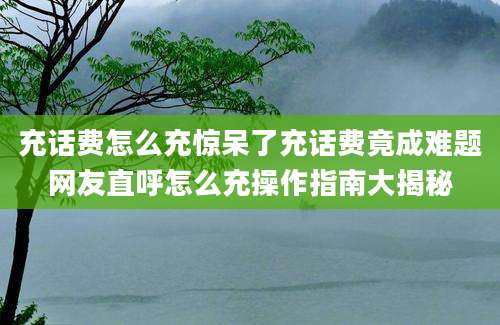 充话费怎么充惊呆了充话费竟成难题网友直呼怎么充操作指南大揭秘
