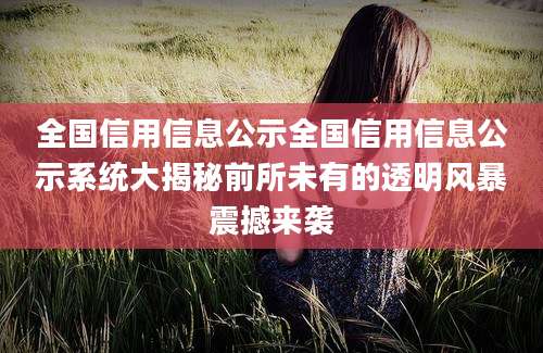 全国信用信息公示全国信用信息公示系统大揭秘前所未有的透明风暴震撼来袭