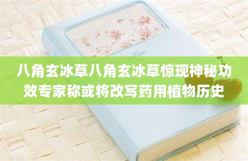 八角玄冰草八角玄冰草惊现神秘功效专家称或将改写药用植物历史