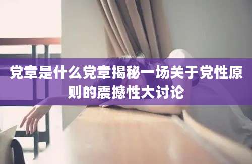 党章是什么党章揭秘一场关于党性原则的震撼性大讨论