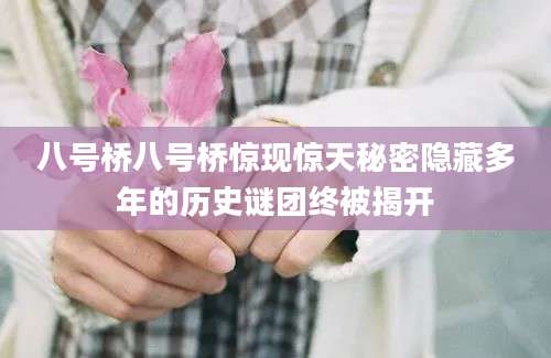 八号桥八号桥惊现惊天秘密隐藏多年的历史谜团终被揭开