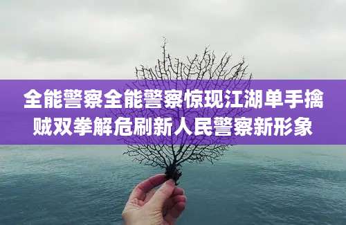 全能警察全能警察惊现江湖单手擒贼双拳解危刷新人民警察新形象