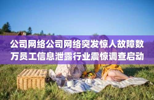 公司网络公司网络突发惊人故障数万员工信息泄露行业震惊调查启动