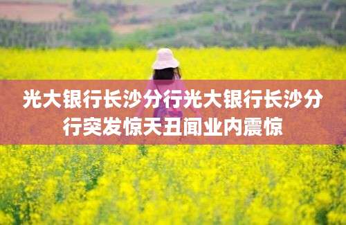 光大银行长沙分行光大银行长沙分行突发惊天丑闻业内震惊