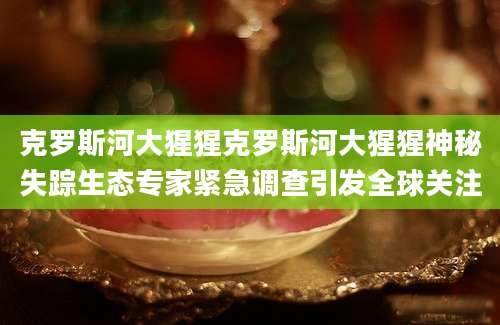 克罗斯河大猩猩克罗斯河大猩猩神秘失踪生态专家紧急调查引发全球关注