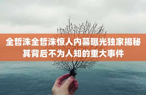 全哲洙全哲洙惊人内幕曝光独家揭秘其背后不为人知的重大事件