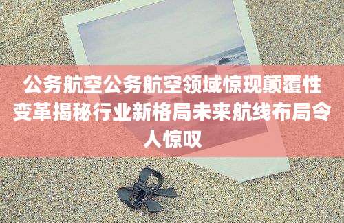 公务航空公务航空领域惊现颠覆性变革揭秘行业新格局未来航线布局令人惊叹