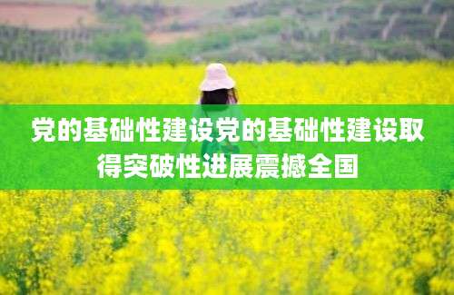党的基础性建设党的基础性建设取得突破性进展震撼全国