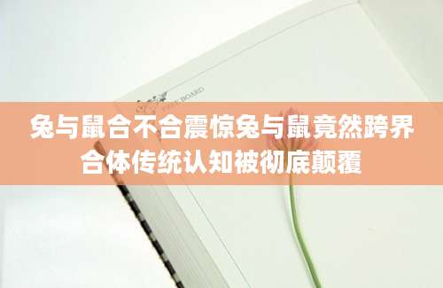 兔与鼠合不合震惊兔与鼠竟然跨界合体传统认知被彻底颠覆