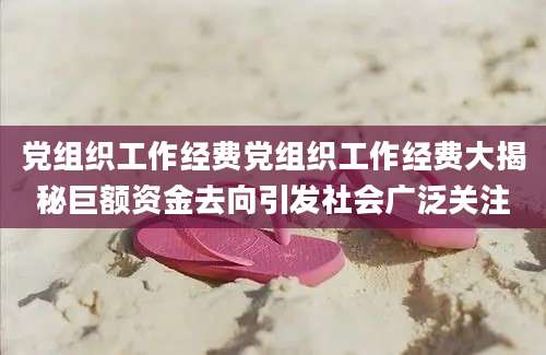 党组织工作经费党组织工作经费大揭秘巨额资金去向引发社会广泛关注