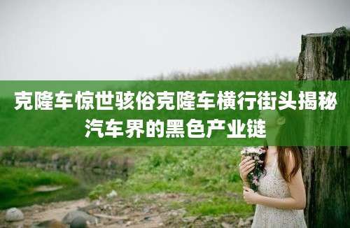 克隆车惊世骇俗克隆车横行街头揭秘汽车界的黑色产业链