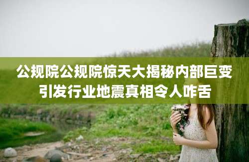公规院公规院惊天大揭秘内部巨变引发行业地震真相令人咋舌