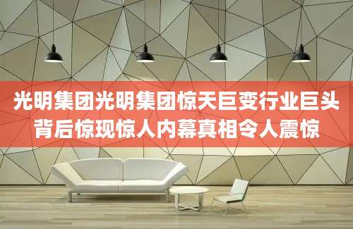 光明集团光明集团惊天巨变行业巨头背后惊现惊人内幕真相令人震惊