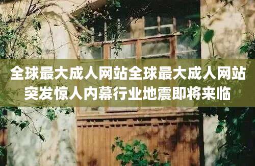 全球最大成人网站全球最大成人网站突发惊人内幕行业地震即将来临