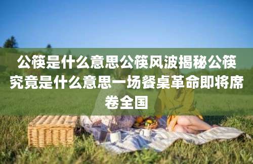 公筷是什么意思公筷风波揭秘公筷究竟是什么意思一场餐桌革命即将席卷全国