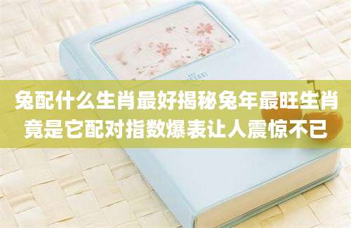 兔配什么生肖最好揭秘兔年最旺生肖竟是它配对指数爆表让人震惊不已
