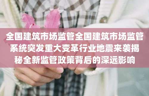 全国建筑市场监管全国建筑市场监管系统突发重大变革行业地震来袭揭秘全新监管政策背后的深远影响