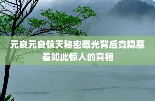 元良元良惊天秘密曝光背后竟隐藏着如此惊人的真相