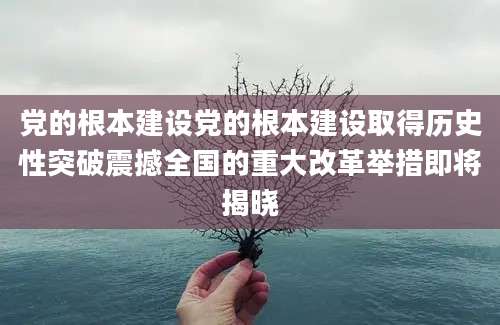 党的根本建设党的根本建设取得历史性突破震撼全国的重大改革举措即将揭晓