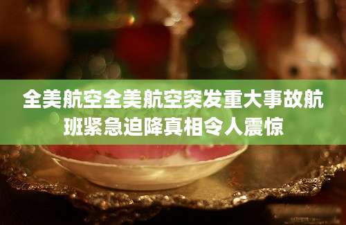 全美航空全美航空突发重大事故航班紧急迫降真相令人震惊